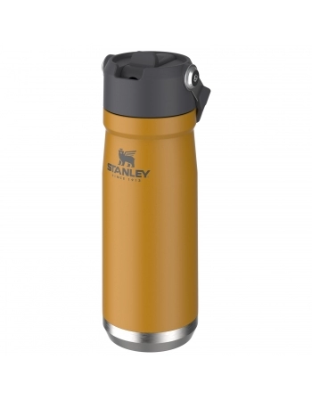 GARRAFA TERMICA STANLEY FLIP ST SAFFR 651ML