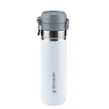 GARRAFA TERM QUICK FLIP FROST 710 ML