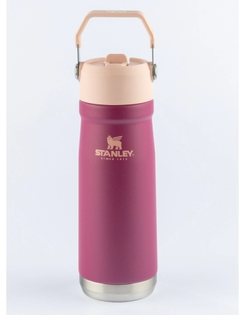 GARRAF TERM FLIP STRAW RASPBERRY 650 ML