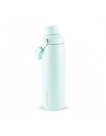AEROLIGHT ICEFLOW MINT 710 ML
