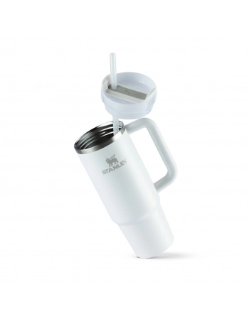 QUENCHER TERM STANLEY FROST 887 ML