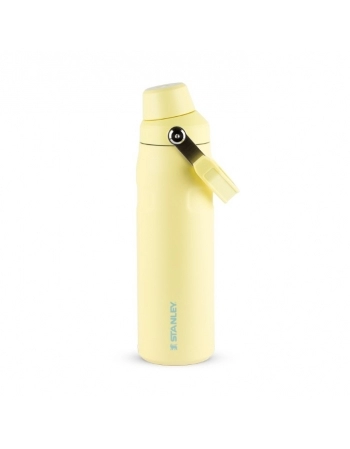 GARRAFA TERM AEROLIGHT FAST FLOW POMELO 710 ML