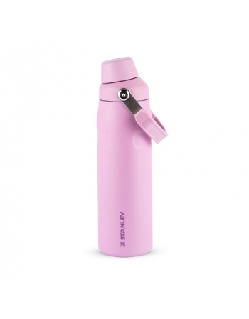 GARRAFA TERM AEROLIGHT FAST FLOW LILAC 710 ML