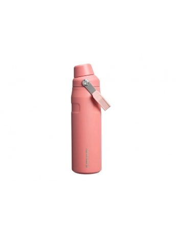 ICEFLOW FASTFLOW TERRACOTTA 710ML